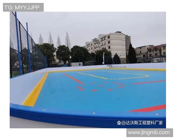 安全与竞技的完美平衡:冰球场界墙规划攻略 安全与竞技的完美平衡:冰球场界墙规划攻略