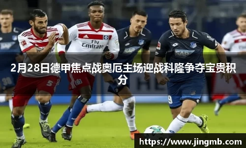BB贝博登录入口